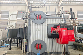 福建龍巖某薯業公司SZS8-2.5-YQ燃氣蒸汽鍋爐